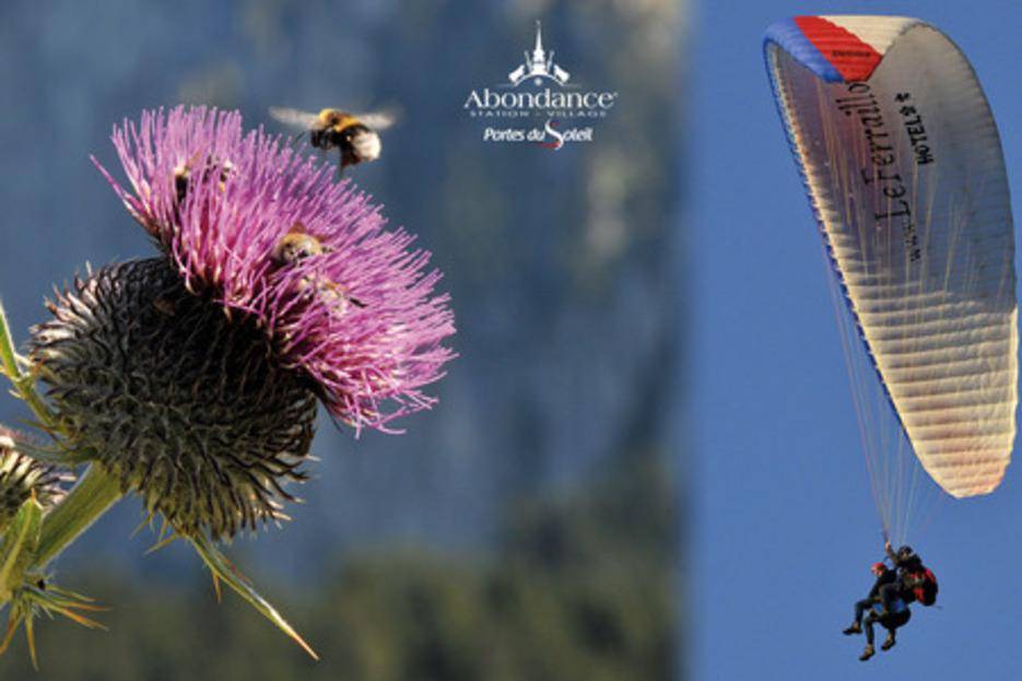 Crédit photo : Patrick Brault Crédit photo : Patrick Brault